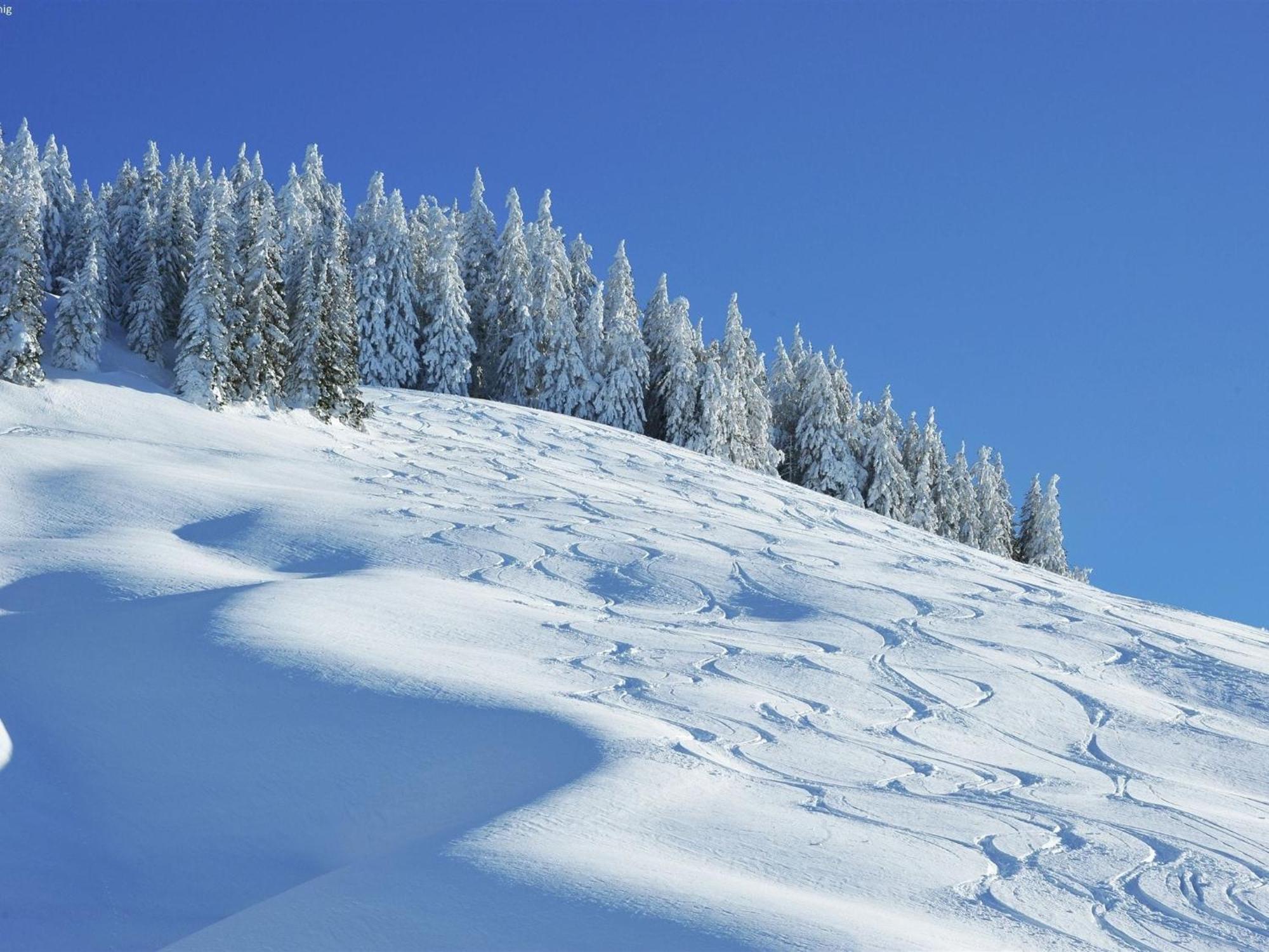 Large Chalet Apartment In Saalbach Hinterglemm 외부 사진