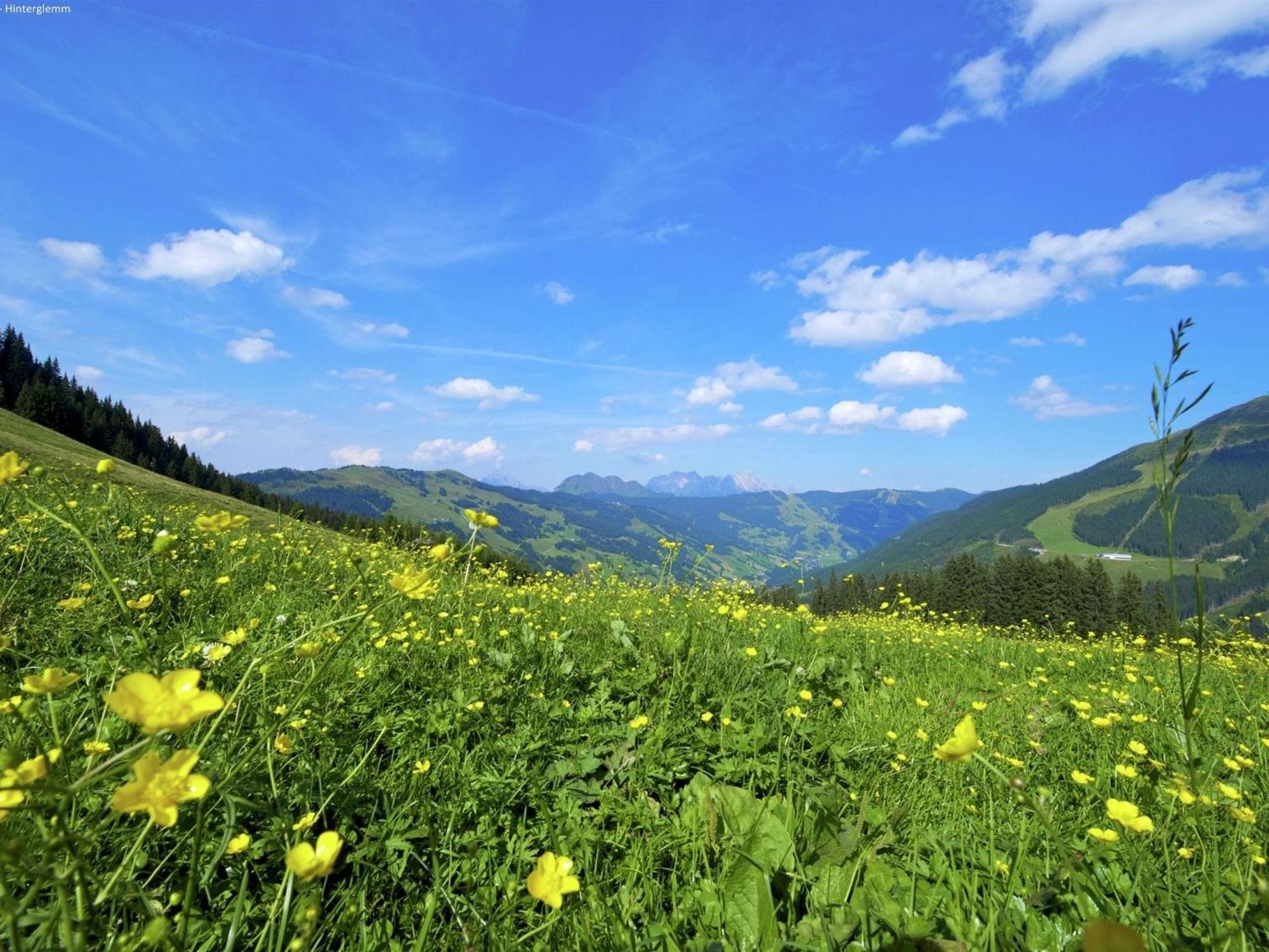 Large Chalet Apartment In Saalbach Hinterglemm 외부 사진